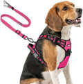 Joytale No Pull Dog Harness & Seat Belt, Easy On 3-Buckle, Hot Pink by Joytale