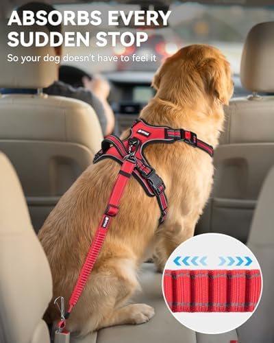 Joytale 3-in-1 Bungee Dog Seat Belt - Image 3