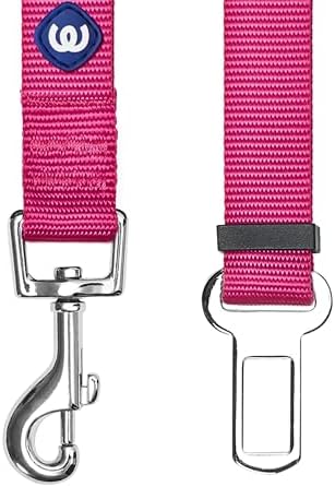 Blueberry Pet Dog Leash - Image 3