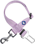 Blueberry Pet Dog Leash Essentials: Lavender Seat Belt Tether by BlueberryPet