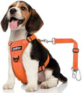 VavoPaw Dog Seat Belt Harness for Car, Dog Car Harness Adjustable Mesh by VavoPaw