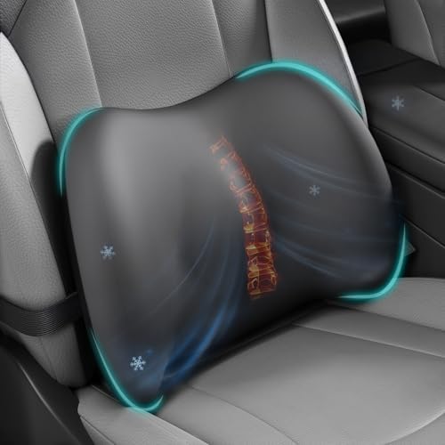 BYMECOST Cooling Lumbar Support Pillow by BYMECOST