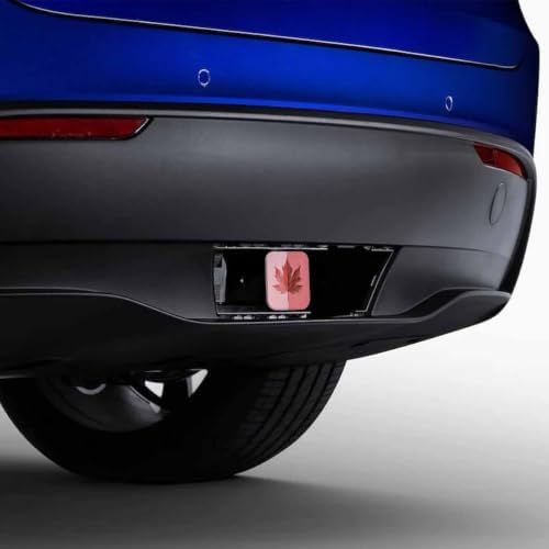 Trailer Hitch Cover Plug Maple Leaf, Autumn Maple Leaf On Coral Pink Trailer - Image 4