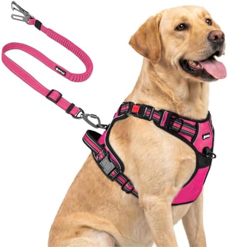 Joytale No Pull Dog Harness & Seat Belt, Easy On 3-Buckle, Hot Pink by Joytale