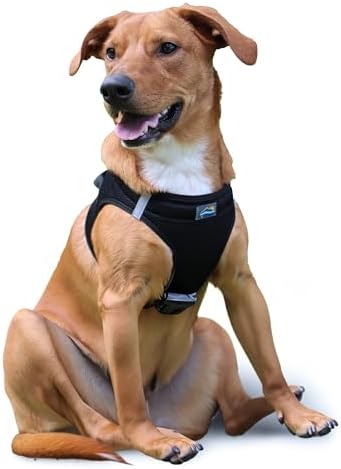 Doggie Design Dog Harness by DoggieDesign
