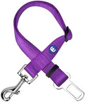 Blueberry Pet Dog Car Seat Belts by BlueberryPet