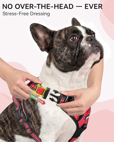Joytale No Pull Dog Harness & Seat Belt, Easy On 3-Buckle - Image 2