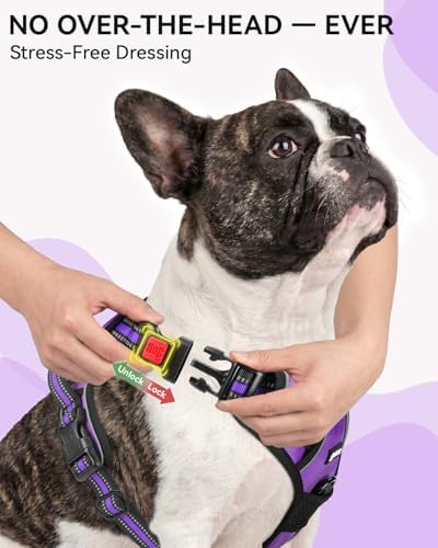 Joytale No Pull Dog Harness & Seat Belt, Easy On 3-Buckle - Image 2
