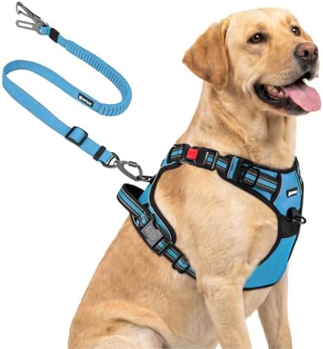 Joytale No Pull Dog Harness & Seat Belt, Easy On 3-Buckle, Sky Blue by Joytale