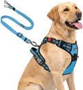 Joytale No Pull Dog Harness & Seat Belt, Easy On 3-Buckle, Sky Blue by Joytale