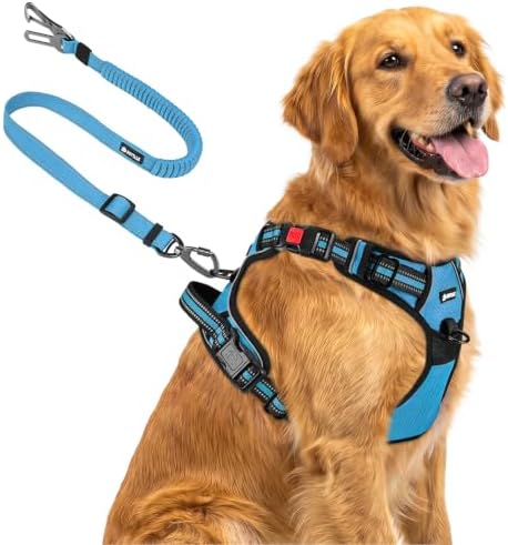 Joytale No Pull Dog Harness & Seat Belt, Easy On 3-Buckle, Sky Blue by Joytale