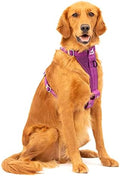 Kurgo Enhanced Strength Tru-Fit Smart Harness, Deep Violet, Extra Large by Kurgo