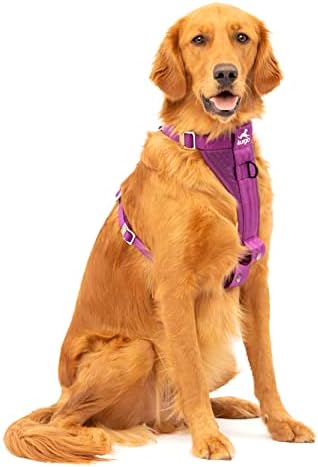 Kurgo Enhanced Strength Tru-Fit Dog Car Harness by Kurgo