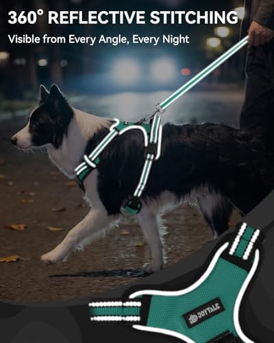 Joytale No Pull Dog Harness & Seat Belt, Easy On 3-Buckle - Image 6
