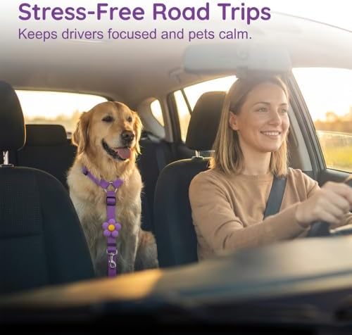 2 Pack Dog Car Seat Belt, 2026 New Pet Dog Leash - Image 2