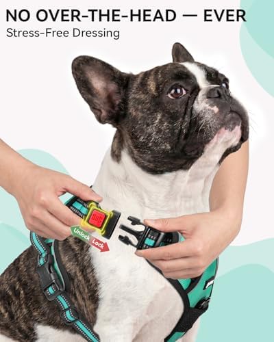 Joytale No Pull Dog Harness & Seat Belt, Easy On 3-Buckle - Image 2