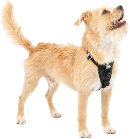 Kurgo Enhanced Strength Tru-Fit Smart Harness by Kurgo