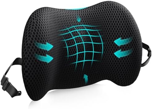 Lumbar Support Pillow for Office Chair, Memory Foam Car Back Cushion by BYMECOST