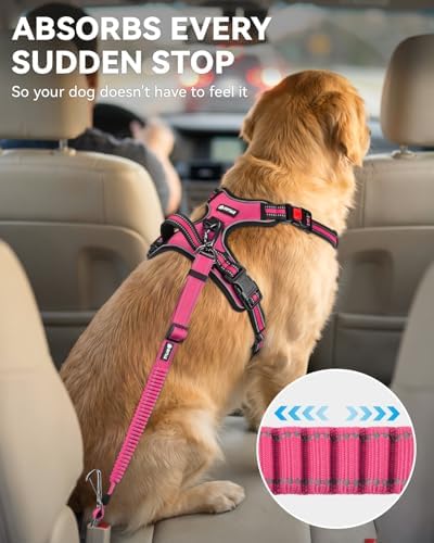 Joytale 3-in-1 Bungee Dog Seat Belt - Image 3