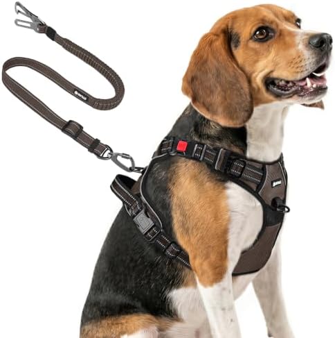 Joytale No Pull Dog Harness & Seat Belt, Easy On 3-Buckle by Joytale