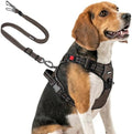 Joytale No Pull Dog Harness & Seat Belt, Easy On 3-Buckle by Joytale