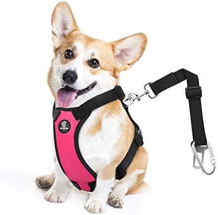 VavoPaw Dog Seat Belt Vest Harness by VavoPaw
