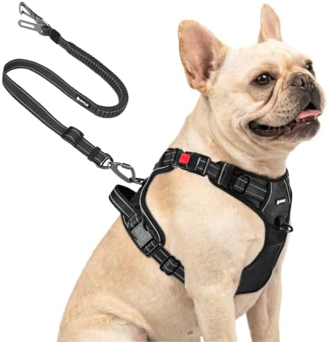 Joytale No Pull Dog Harness & Seat Belt, Easy On 3-Buckle by Joytale