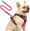 Joytale No Pull Dog Harness & Seat Belt, Easy On 3-Buckle, Hot Pink by Joytale