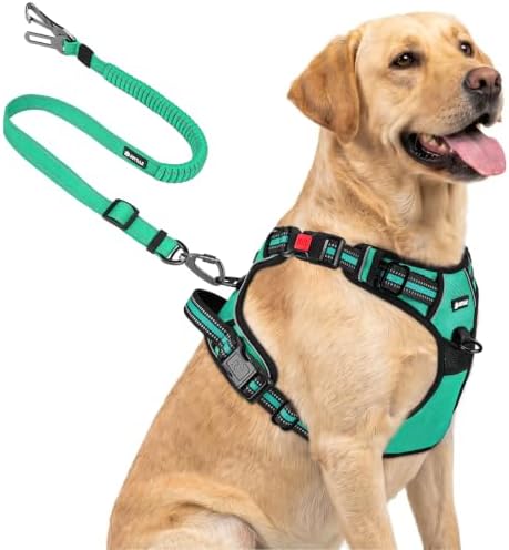 Joytale No Pull Dog Harness & Seat Belt, Easy On 3-Buckle by Joytale