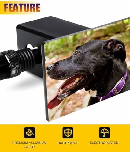 Custom Personalized Tow Metal Trailer Hitch Cover - Image 6