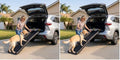 MaxWorks 50524 61" Portable Folding Pet Ramp by Pawstep