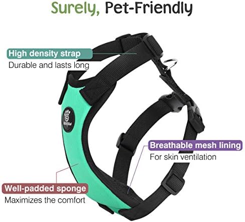 VavoPaw Dog Seat Belt Vest Harness - Image 3