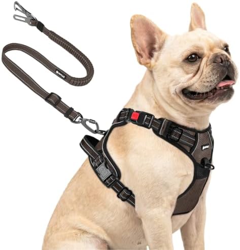 Joytale No Pull Dog Harness & Seat Belt, Easy On 3-Buckle by Joytale
