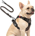 Joytale No Pull Dog Harness & Seat Belt, Easy On 3-Buckle by Joytale