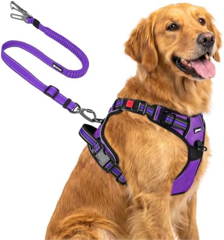 Joytale No Pull Dog Harness & Seat Belt, Easy On 3-Buckle by Joytale