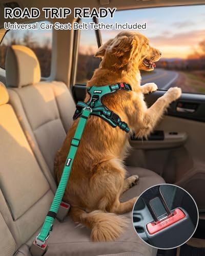 Joytale No Pull Dog Harness & Seat Belt, Easy On 3-Buckle - Image 3