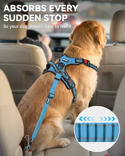 Joytale 3-in-1 Bungee Dog Seat Belt - Image 3