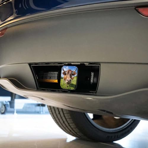 Swono Bull Truck Hitch Cover - Image 4