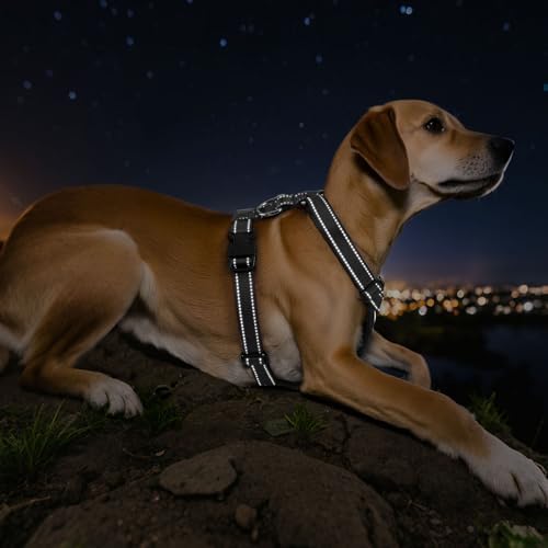VavoPaw Dog Car Belt, Dog Harness Reflective Strip & Adjustable Buckle - Image 6
