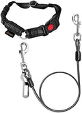 Chew Proof Dog Car Seat Belt, 2 in 1 Steel Cable Dog Car Accessories Headrest by CHZUOBER