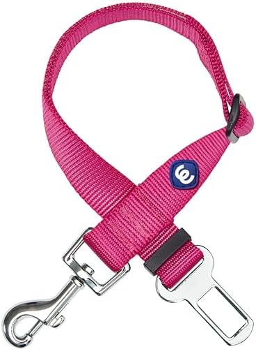 Blueberry Pet Dog Leash by BlueberryPet