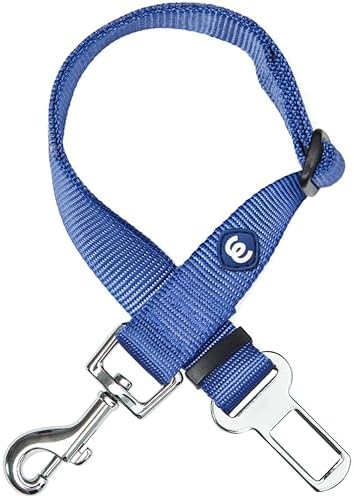 Blueberry Pet Dog Leash by BlueberryPet