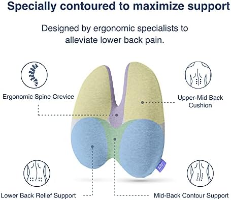 C CUSHION LAB Extra Dense Lumbar Pillow - Image 3