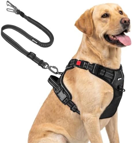 Joytale No Pull Dog Harness & Seat Belt, Easy On 3-Buckle by Joytale