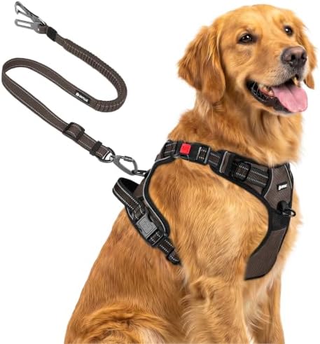 Joytale No Pull Dog Harness & Seat Belt, Easy On 3-Buckle by Joytale