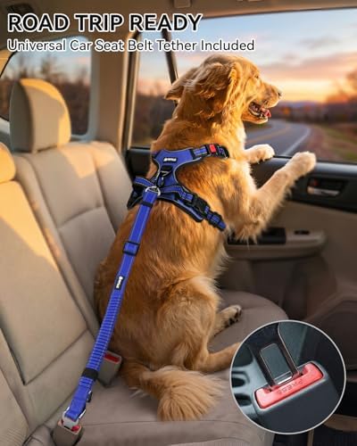 Joytale No Pull Dog Harness & Seat Belt, Easy On 3-Buckle - Image 3