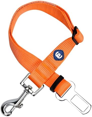 Blueberry Pet Dog Leash Puppy Essentials Seat Belt Tether by BlueberryPet