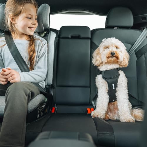 Thule Cappy Dog Harness S, Seatbelt Passthrough, Leash Loop, Step-in Design - Image 6