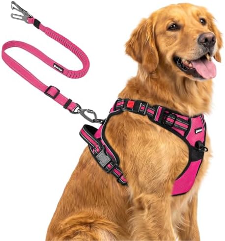 Joytale No Pull Dog Harness & Seat Belt, Easy On 3-Buckle, Hot Pink by Joytale