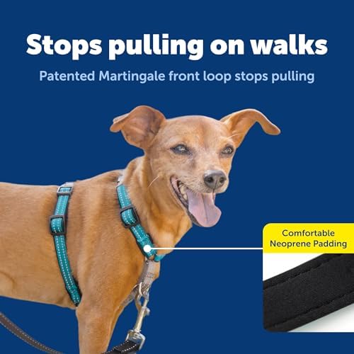PetSafe Easy Walk 3 in 1 No Pull Dog Harness, Extra Small - Image 4